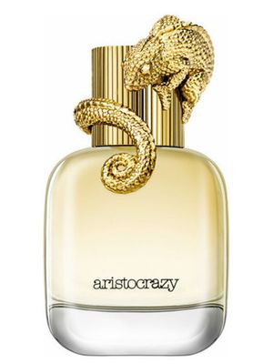 Aristocrazy Intuitive