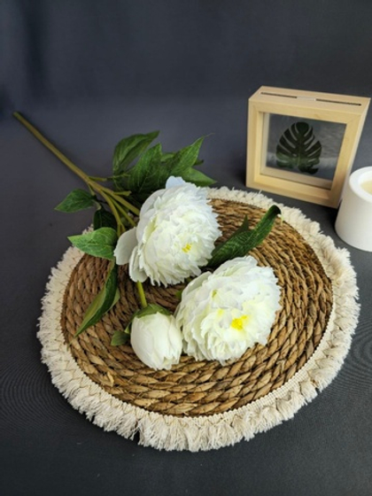 Пион / Арт 2072