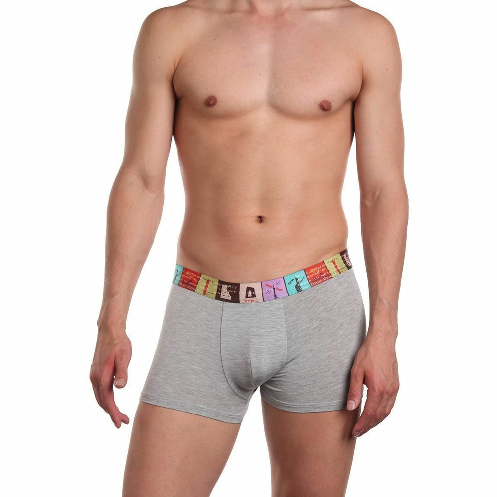 Мужские трусы-боксеры с широкой резинкой (Размер: XL) (Цвет: серый)