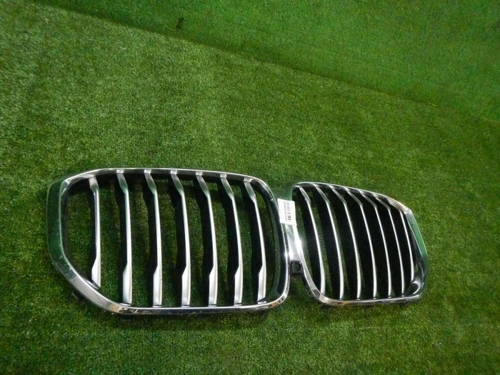 Решетка радиатора BMW X5 G05 (2018-2023)