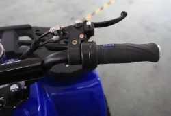 Электроквадроцикл Green Camel Гоби K24 (36V 800W R6 Цепь)