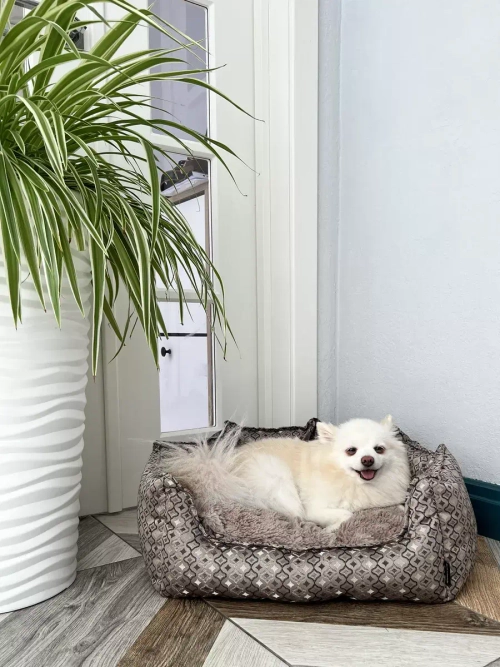 Лежанка для собак и кошек 60*45 домик для кошки