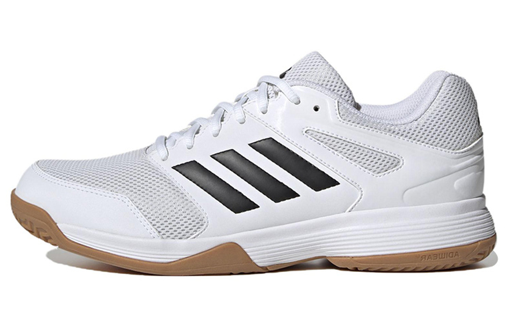 Adidas Speedcourt Volleyball Shoes "White Gum Black"