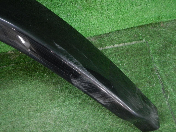DSCN9855.JPG