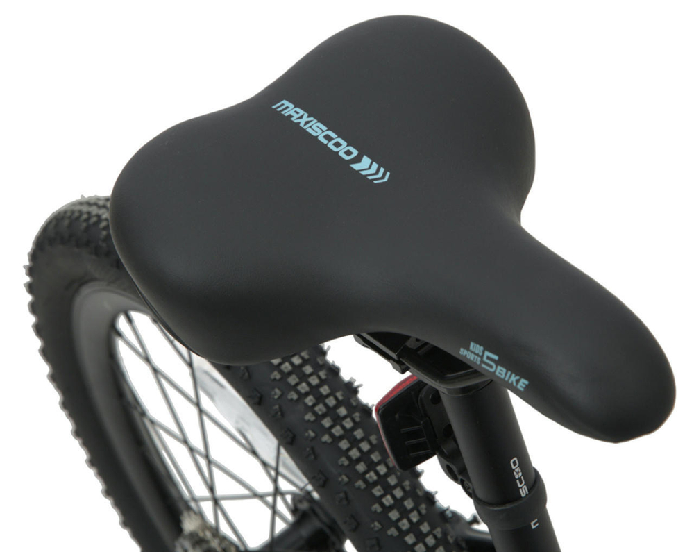 Детский велосипед Maxiscoo 5Bike 20'' Girl (2024)