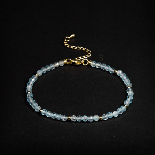 Браслет на ногу Noble SBU