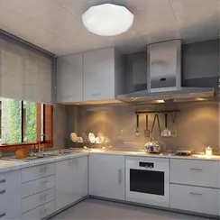 2012/CL PALE SN 219 Светильник пластик/белый/прозрачный LED 30Вт 4000K D340 IP43 TORA