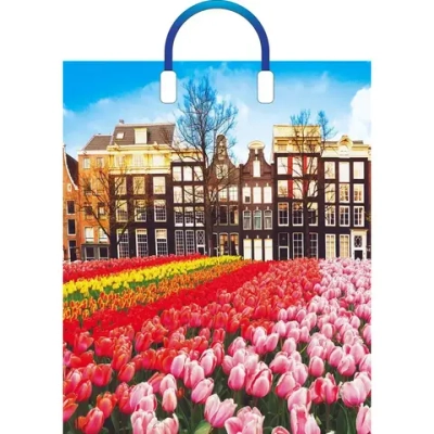 Пакет ПЭ с пластмассовыми ручками 38+3см(Весна в городе) Глянце (комплект 5 шт)