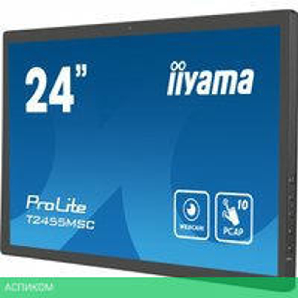 Портативный монитор Iiyama ProLite T2455MSC-B1