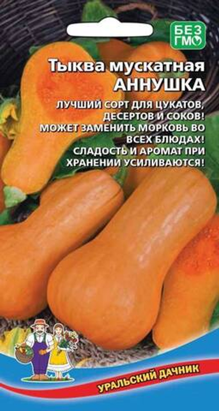 тыква мускатная Аннушка
