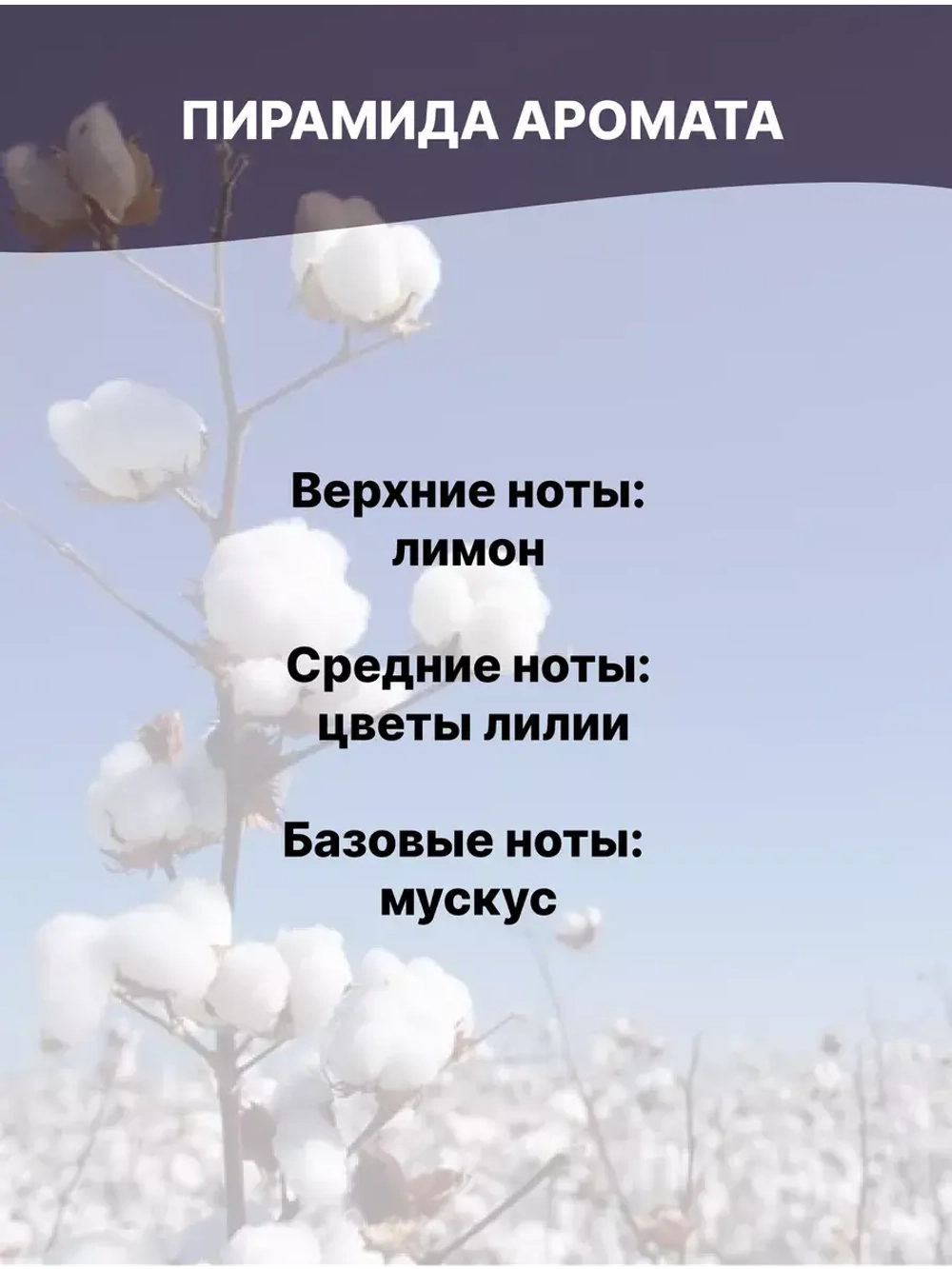 Отдушка Хлопок 50 гр