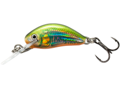 Воблер тонущий Salmo HORNET S 2.5/HO