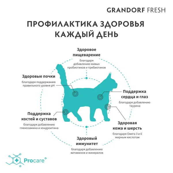 Сухой корм GRANDORF Fresh Cat LARGE Lamb&Sweet Potato для крупных кошек из свежего мяса ягненка с бататом
