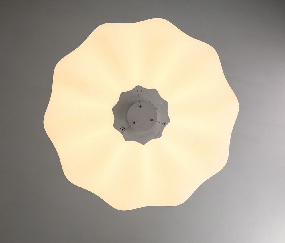 Подвесной светильник Zortes Soft ZRS.1119.02