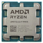 Процессор AMD Ryzen 9 9900X OEM