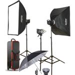 Godox MS300-D