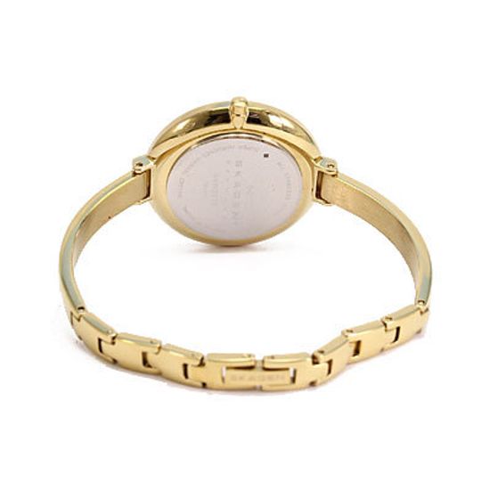 Женские часы Skagen SKW2229