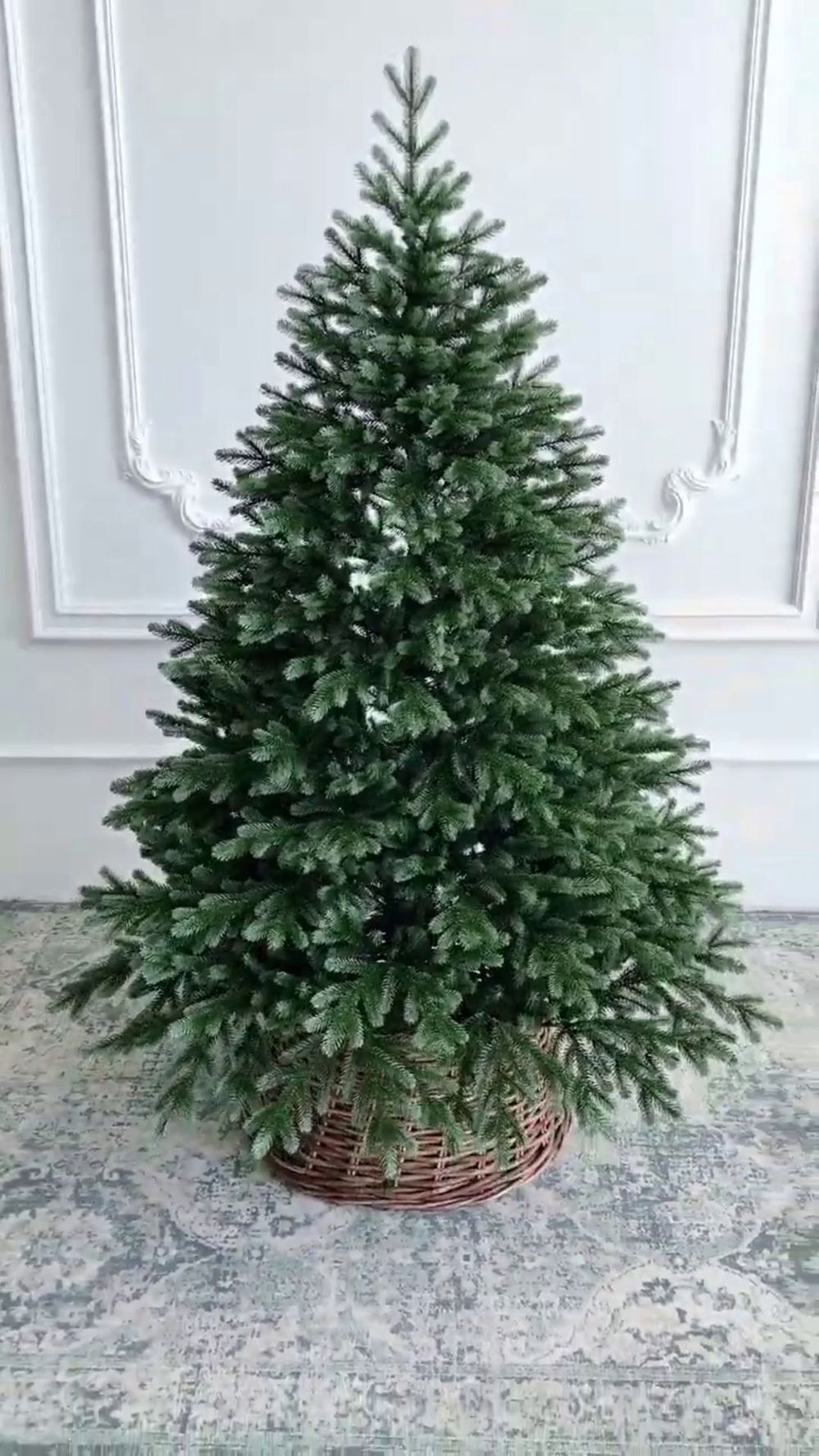 ель "Архангельская" двухцветная литая хвоя