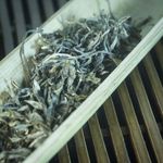 Шэн пуэр ранневесенний из Мэнсун, урожай 2022 г