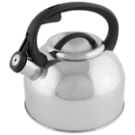 Чайник из нерж стали со свистком "Arte" (зеркальная полировка) 2.5л