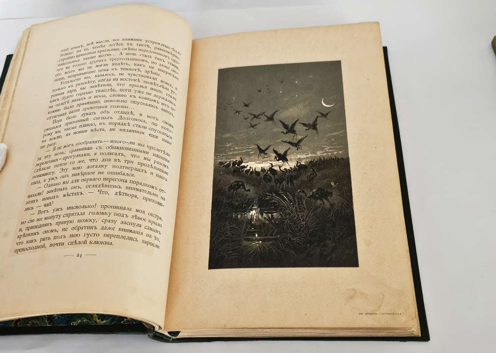 "С севера на юг. Путевые воспоминания старого журавля". Н.Н.Каразин. 1899г. - раритет