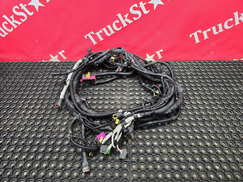 Проводка шасси основная 2023 г