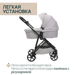 Коляска Chicco Seety 2 в 1 Florence Beige