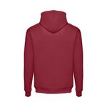 Толстовка PHOENIX