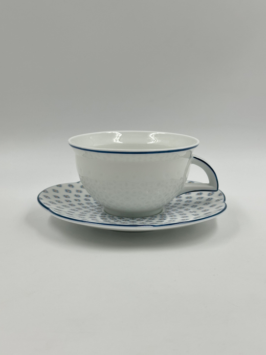 Чайная пара Richard Ginori