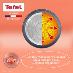 Набор посуды со съемной ручкой Tefal Ingenio Natural Force 3 предмета 22/26 см L3969202