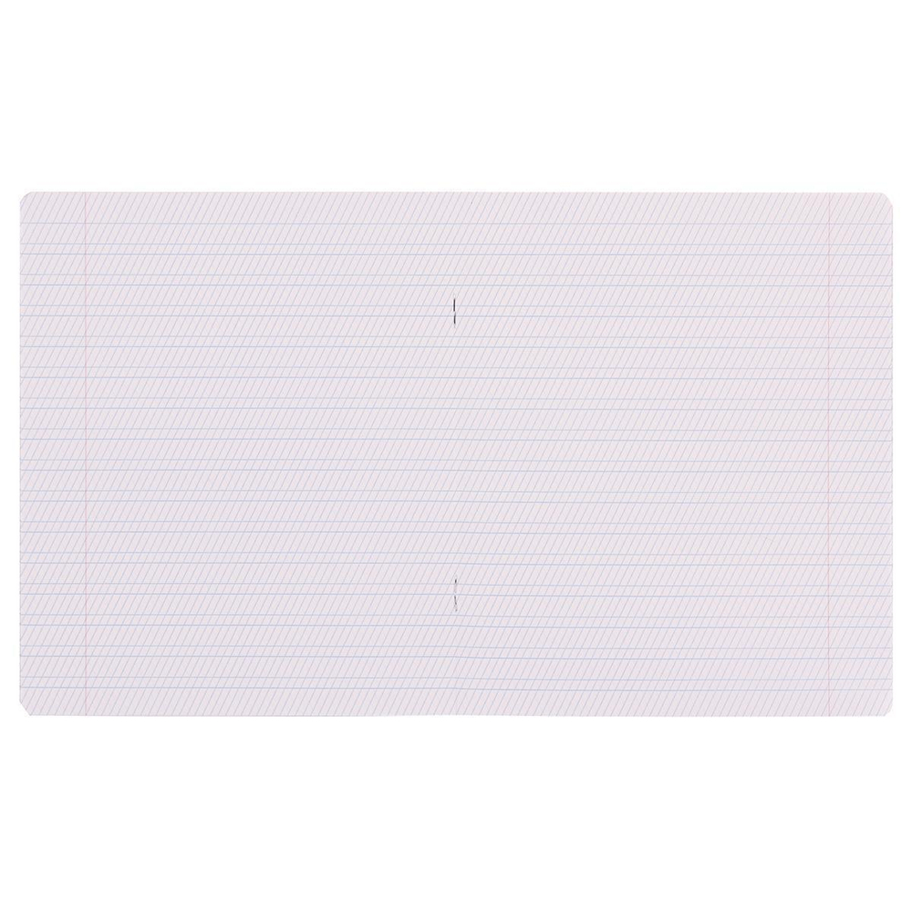 Тетрадь школьная А5 12л частая косая линия, зеленая "Классика Visio" (Erich Krause) микс цветов (комплект 3 шт)