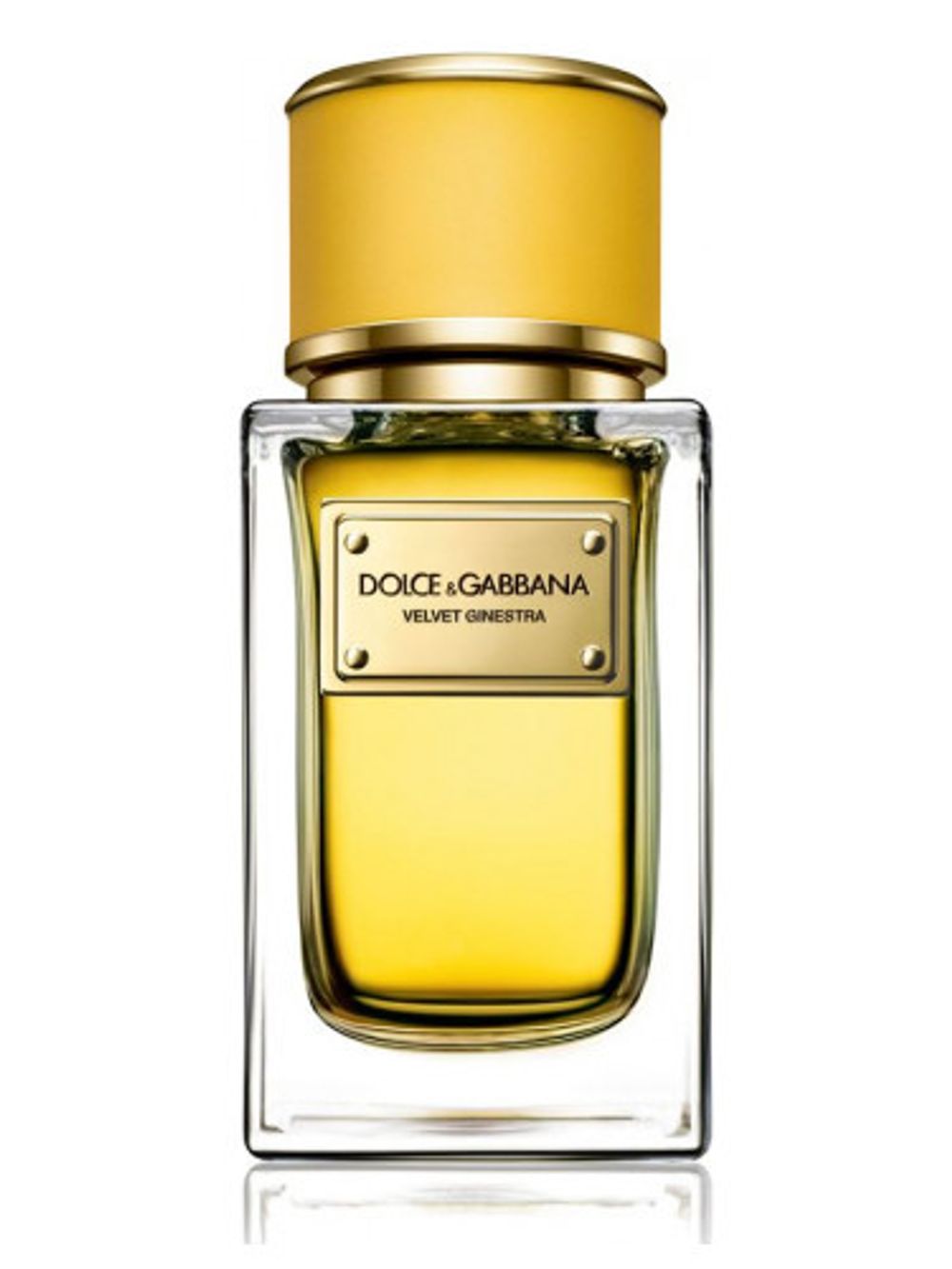 Dolce and Gabbana Velvet Ginestra
