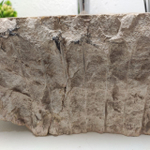 Раковина из окаменелого дерева FossilBasin OD-61258 48*40*17