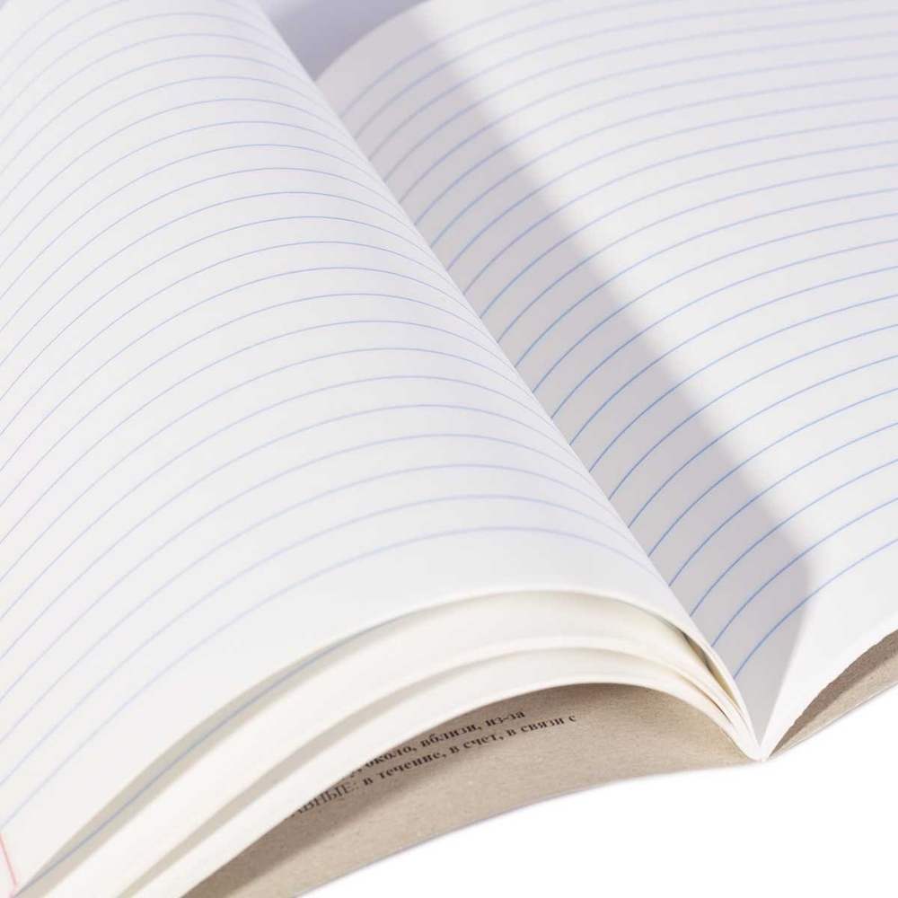 Тетрадь предметная "Русский язык" А5 36л., со справочным материалом, скрепка, мелованный картон (эконом), блок офсет, Alingar "Simple"