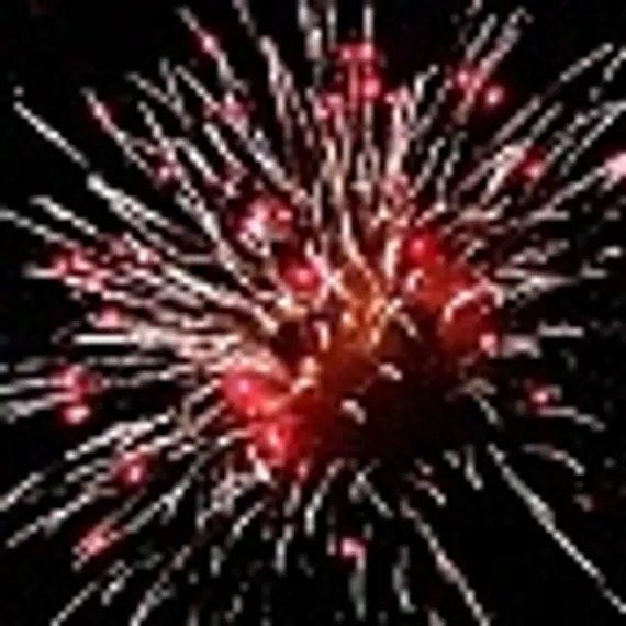 Зимняя сказка 1,2" х 100СС8303