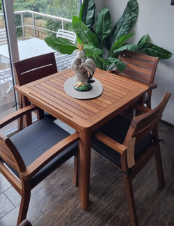 FELIX 80 Стол обеденный деревянный, массив ироко