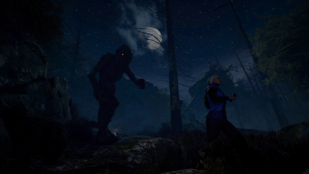 Through the Woods (для ПК, цифровой код доступа)