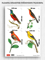 Трансфер для декупажа переводной рисунок для поверхностей 174