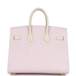 Сумка по индивидуальному заказу Hermès Birkin с матовой золотой фурнитурой Hermès Special Order Birkin