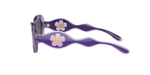 Солнцезащитные очки Dolce & Gabbana - фиолетовый(DX6005)
