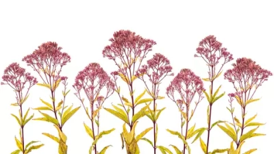 Цифровое панно ID Wall LILAC