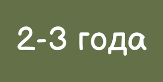 2-3 года