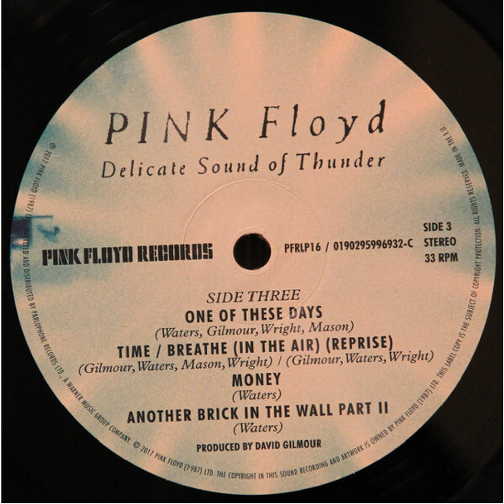 Pink Floyd / Delicate Sound Of Thunder (2LP)