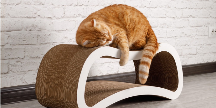 Когтеточки картонные