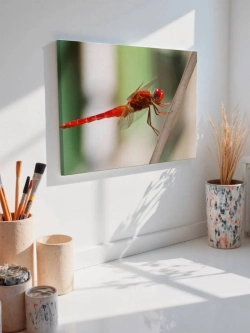 Картина на стену 40 X 50 Стрекоза