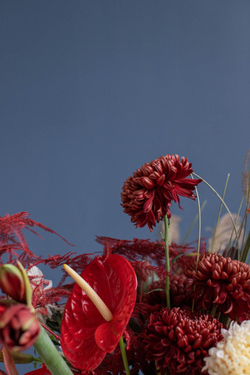 Интерьерный красный