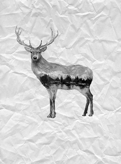 Дизайнерские обои Wall Street Grayscale