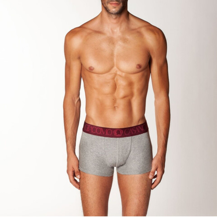 Мужские трусы боксеры серые CASANOVA 0006C