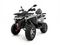 Квадроцикл MOTAX Grizlik 200 ULTRA BIG