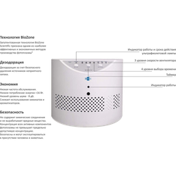 Обеззараживатель (очиститель) BioZone PR 30